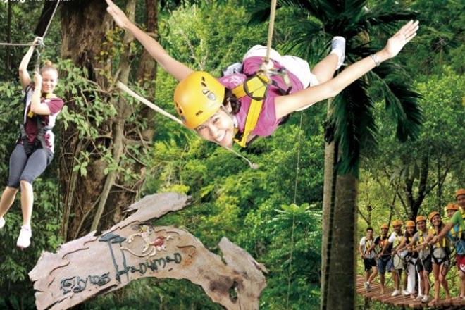 Zipline  Adventure with Tiger Kingdom