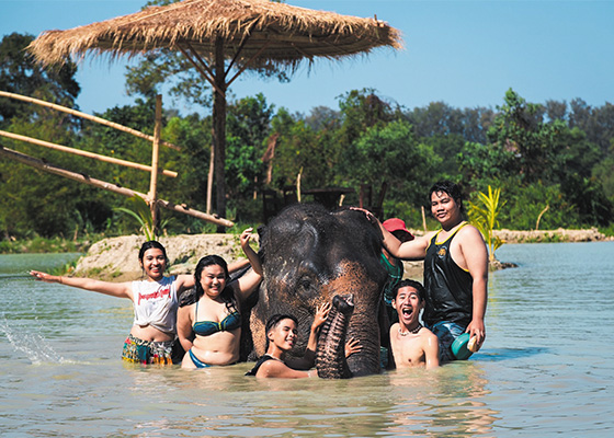 Phuket Elephant Care Sanctuary Tour