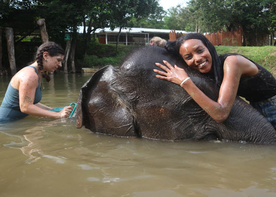 Elephant Wildlife Sanctuary