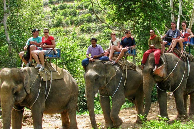 Sightseeing Tour + Elephant Safari