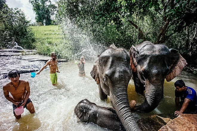 Phuket Elephant Green Sanctuary