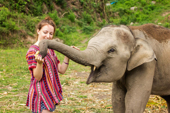 Phuket Elephant Green Sanctuary