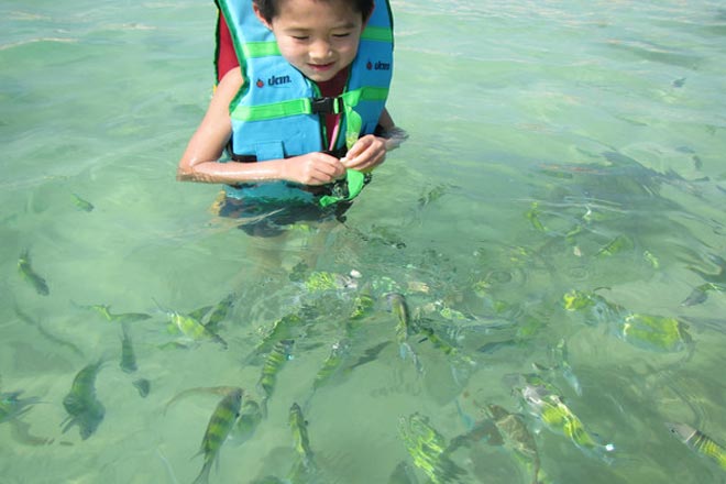 Khai Island Half Day Tour