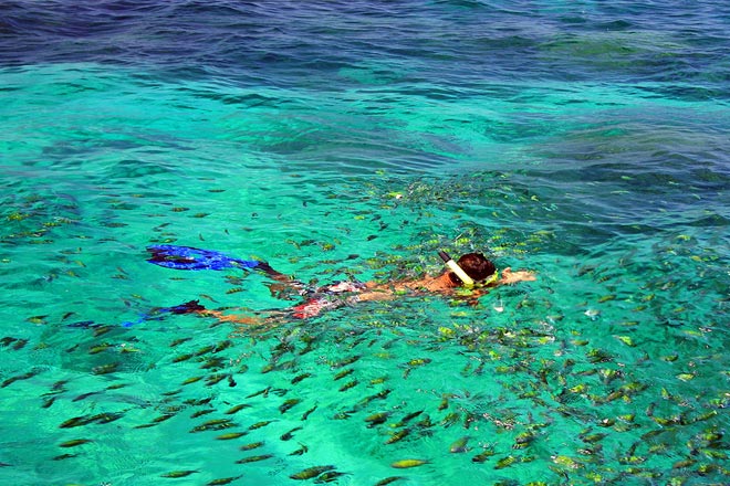 Phi Phi Half Day Tour Speed Boat