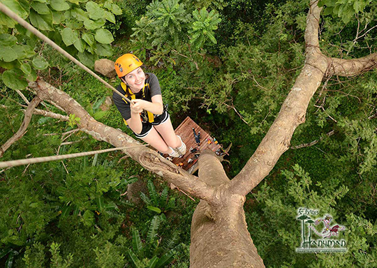 Ziplines Adventure with Tiger Kingdom