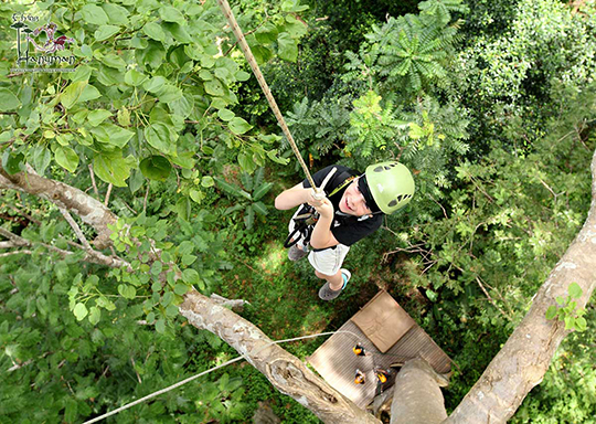 Ziplines Adventure with Tiger Kingdom