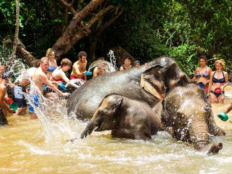 Phuket Elephant Bathing Tours