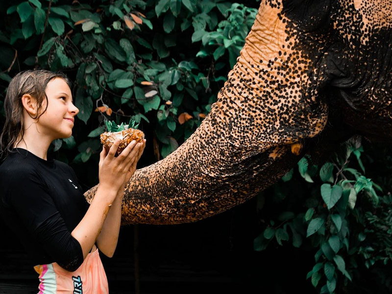 Phuket Elephant Bathing Tours